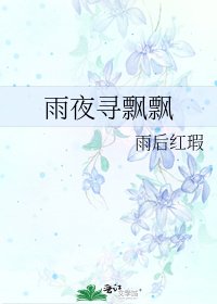 雨夜寻飘飘