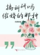 搞科研吗催婚的那种