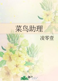 菜鸟助理