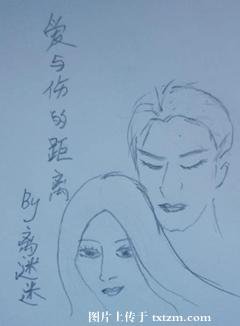 爱与伤的距离