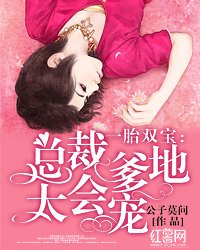 一胎双宝：总裁爹地太会宠