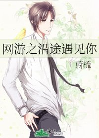 网游之沿途遇见你