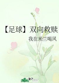 【足球】双向救赎