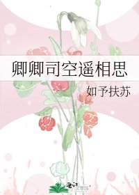 卿卿司空遥相思