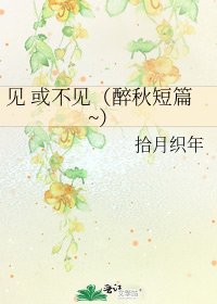 见 或不见（醉秋短篇~）