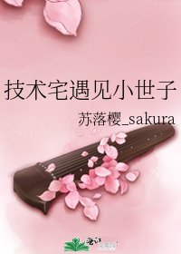 《技术宅遇见小世子》