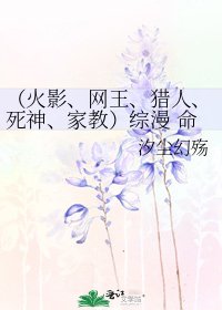 （火影、网王、猎人、死神、家教）综漫 命运的轨迹