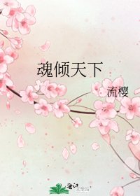 《魂倾天下》