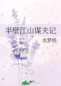 半壁江山谋夫记