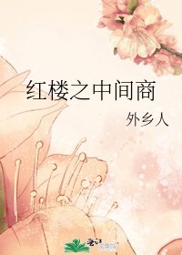 （红楼同人）红楼之中间商