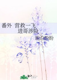 《番外 营救一飞 进哥涉险》