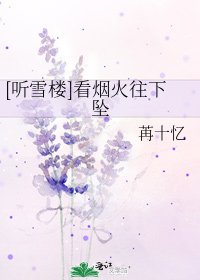 [听雪楼]看烟火往下坠
