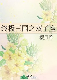 终极三国之双子座