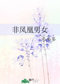 非凤凰男女