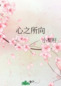 《心之所向》