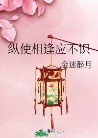 纵使相逢应不识