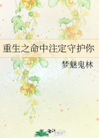 重生之命中注定守护你