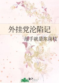 外挂党沦陷记