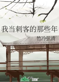 我当刺客的那些年