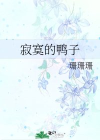 寂寞的鸭子