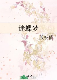 迷蝶梦