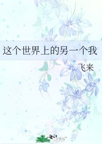 这个世界上的另一个我