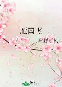 《雁南飞》