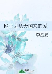 网王之从天国来的爱