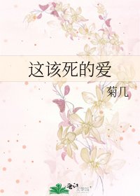 这该死的爱