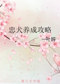 忠犬养成攻略