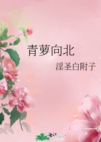 青萝向北