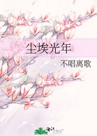 尘埃光年