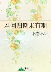 君问归期未有期