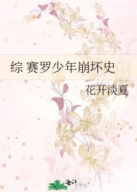 综 赛罗少年崩坏史