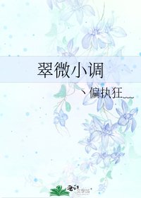 翠微小调