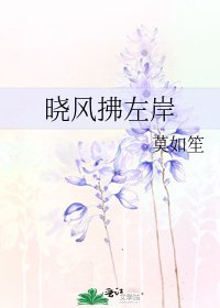 晓风拂左岸