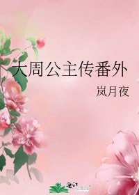 大周公主传番外