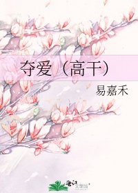 夺爱（高干）