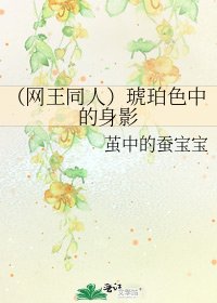 （网王同人）琥珀色中的身影