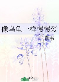 《像乌龟一样慢慢爱》