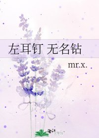 左耳钉 无名钻