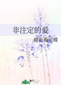 《非注定的爱》