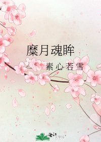糜月魂眸