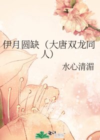 伊月圆缺（大唐双龙同人）