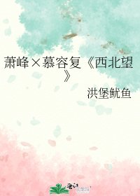 （天龙八部同人）萧峰×慕容复《西北望