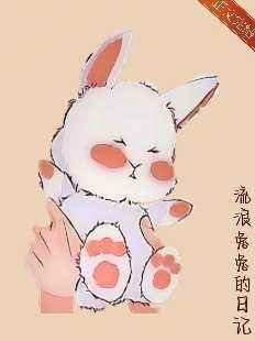 流浪兔兔的日记
