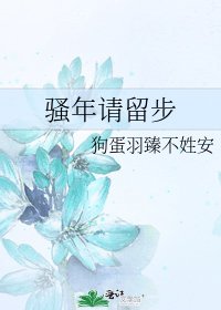 《骚年请留步》