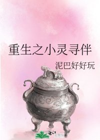 重生之小灵寻伴