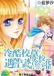 冷酷校草遇上冰冷校花