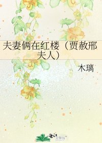 夫妻俩在红楼（贾赦邢夫人）